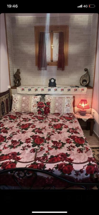 Η Θεα Traditional House マクリニツァ エクステリア 写真