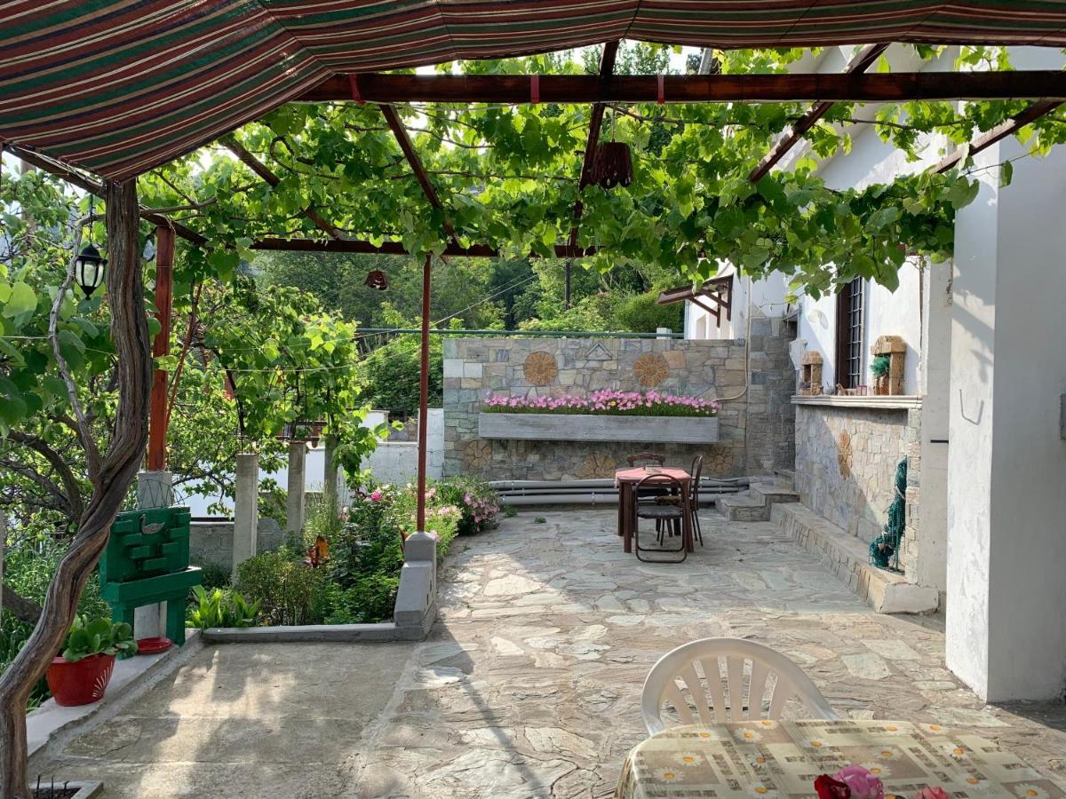 Η Θεα Traditional House マクリニツァ エクステリア 写真